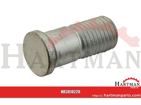 Śruba M20