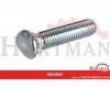 Śruba planetarna bez nakrętki M10X45-8,8 ZN