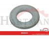 Tarcza 60x31x6 Zn