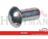 Nit 6x12 st. DIN660, Zn