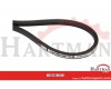 Pasek klinowy 10x460