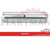 Sworzeń 30x120