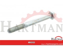 Fixing bolt
