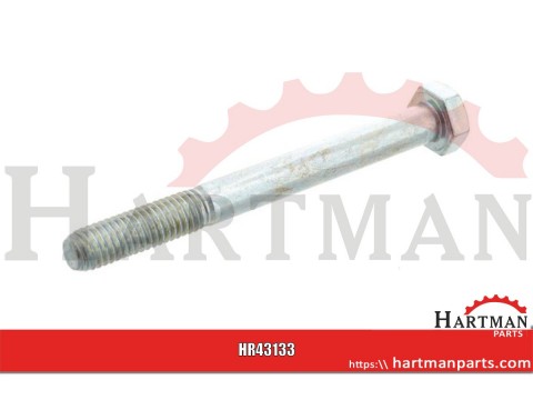 Fixing bolt