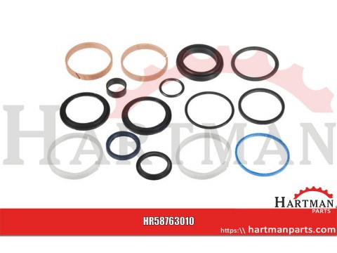 Oil Seals Set