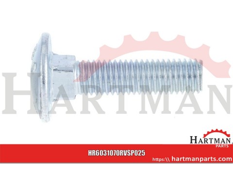 Śruba zamkowa A2 Kramp, M10 x 70 mm