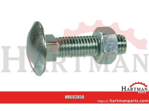 Śruba zamkowa z nakrętką kl. 4.6 ocynk Kramp, M8 x 50 mm