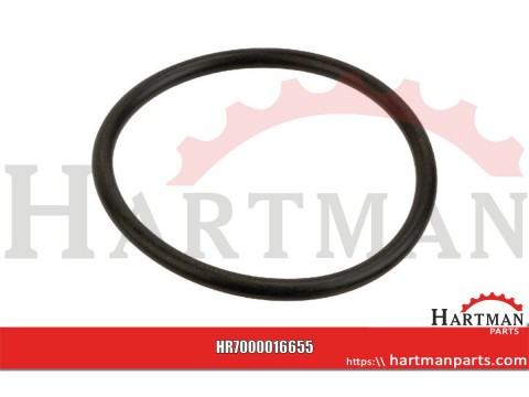Pierścień o-ring