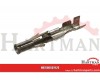 Molex