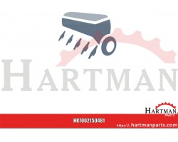 Hak