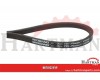 Pasek klinowy, V10 X 795 19