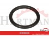 Pierścień o-ring