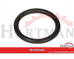Pierścień o-ring