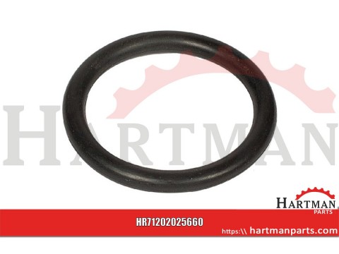 Pierścień o-ring