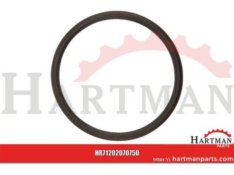 Pierścień o-ring