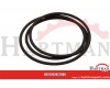 o -ring
