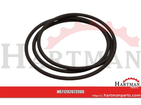 o -ring