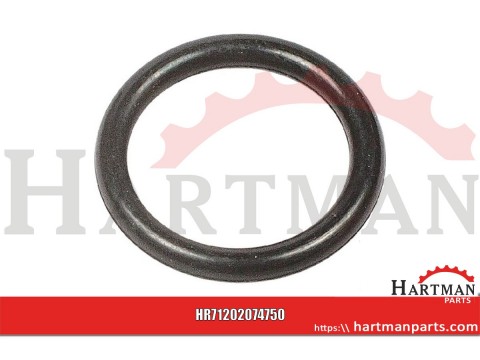 Pierścień o-ring