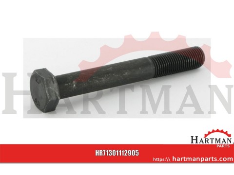 Śruba M 12 × 1,25