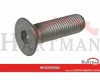 Śruba z łbem wpuszczonym M16 × 55 mm, 10,9