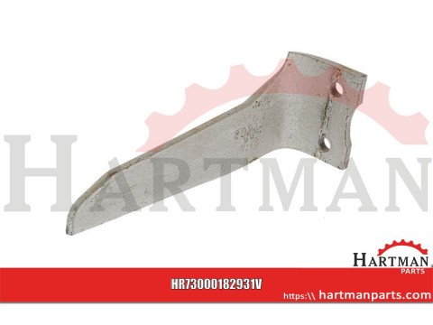 Ząb prawy HK10
