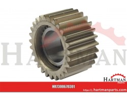 Zębnik mechanizmu różnicowego
