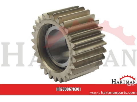 Zębnik mechanizmu różnicowego