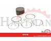 Piston complete standard