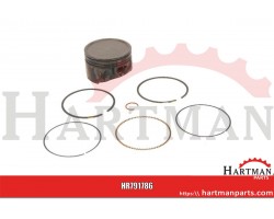 Piston complete standard