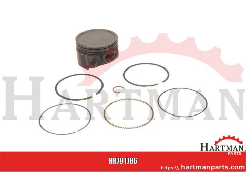 Piston complete standard