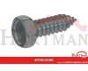 Self tapping screw 4.2x16mm, 7mm hex head, stainless steel A2, DIN 7976C Kramp
