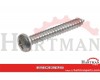 Blachowkręt z łbem soczewkowym i nacięciem krzyżowym PH A2 Kramp, 3,9 x 13 mm