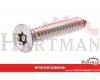 Blachowkręt z łbem stożkowym i nacięciem Torx A2 Kramp, 6,3 x 38 mm