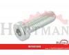 Śruba imbusowa z obniżonym łbem kl. 8.8 ocynk Kramp, M16 x 50 mm