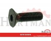 Śruba imbusowa M12x80 stożk.