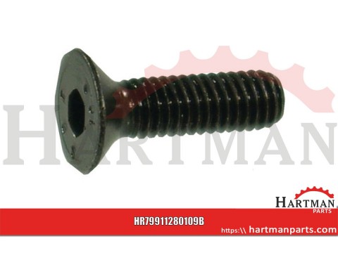Śruba imbusowa M12x80 stożk.