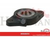 Flanged bearing unit INA