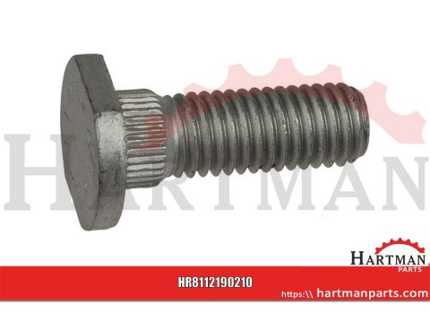 Śruba M10x30 mm