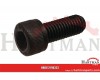 Śruba imbusowa M10-25
