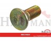 Śruba płużna M10x25mm