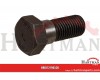 Śruba M16 x 40 mm