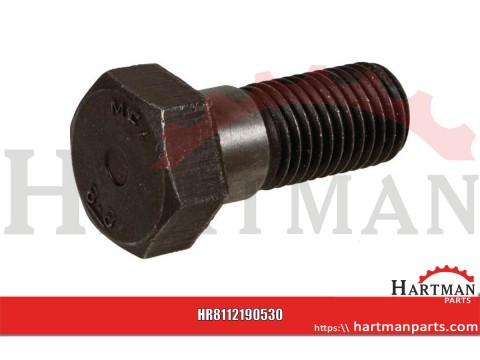 Śruba M16 x 40 mm