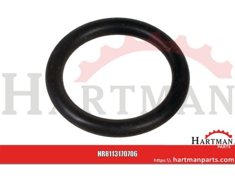 Pierścień uszczelniający o-ring
