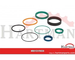 Zestaw uszczelek do 1317-0989
