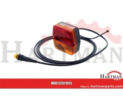 Rear light LH