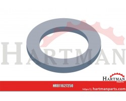Tarcza