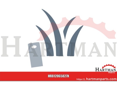 Tarcza cierna