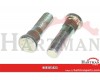 Wheel bolt