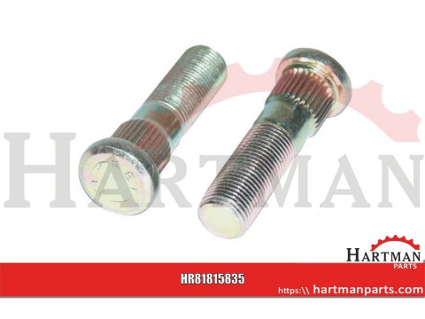 Wheel bolt