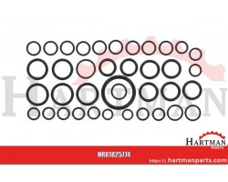 O-ring, zestaw
